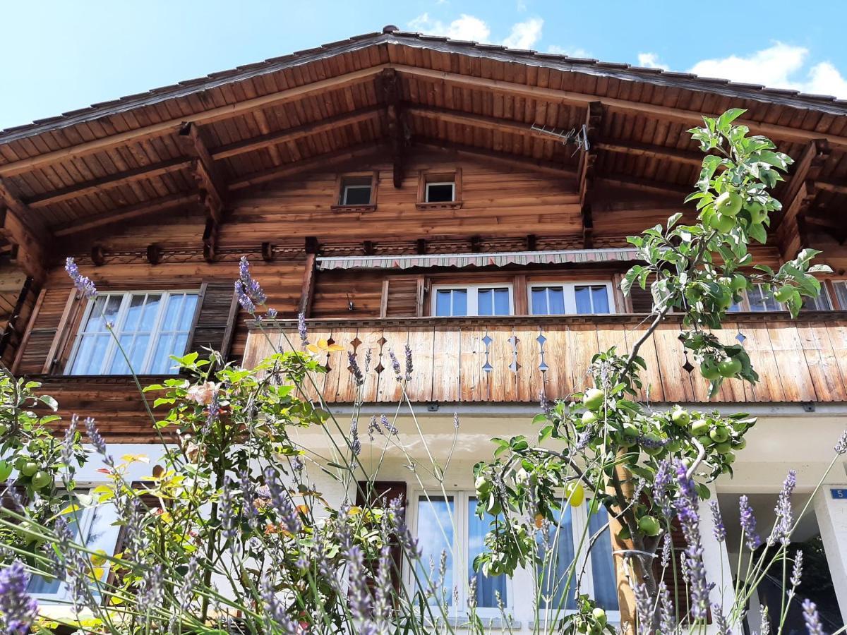 Cozy Chalet By Interlaken. Parking Ringgenberg Eksteriør billede